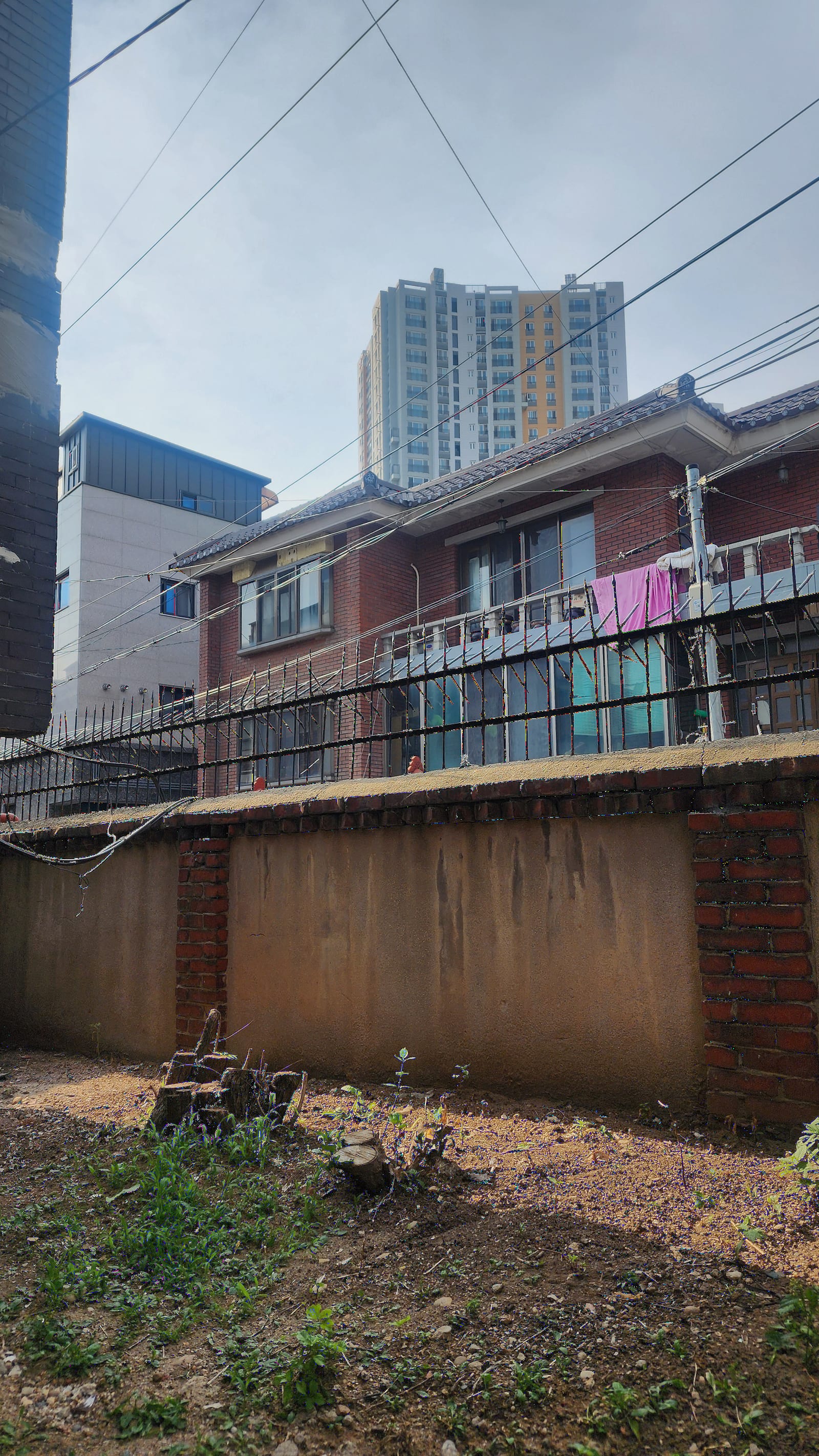 벌목 후 — 담장 선이 살아나고 통행이 편해졌습니다.