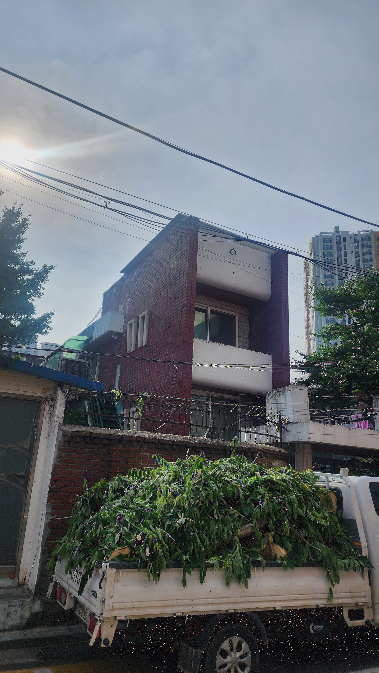작업 후 주변 — 가지·잔재가 정리돼 깔끔해진 현장.