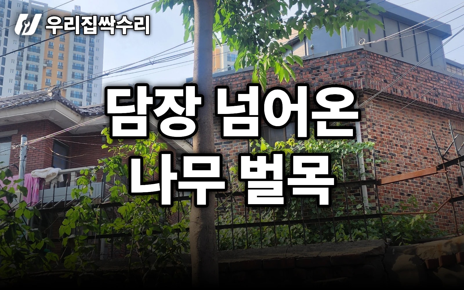 담장 넘어온 나무 벌목 — 자르기보다 ‘치우고 폐기’가 핵심 (주택가)